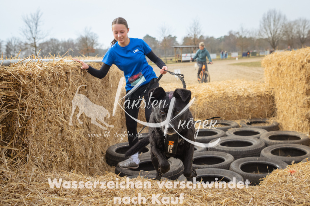 1036_ZZ96686 | kk-dogfotos