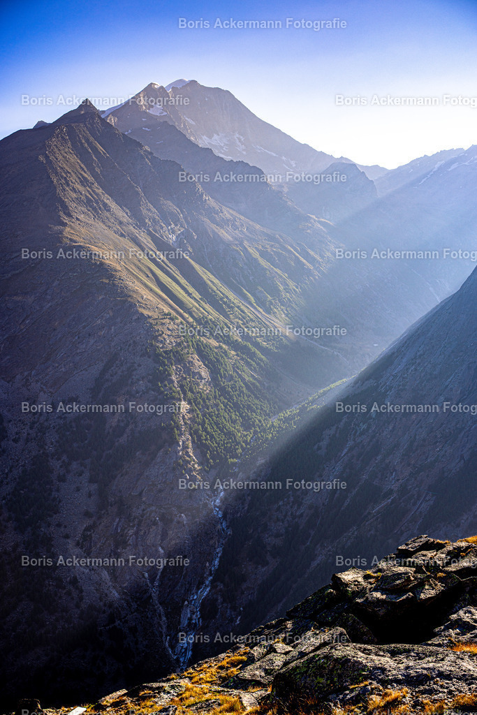 Morgenlicht | Morgenlicht auf Plattjen mit dem Blick auf den Gipfel der Weissmies