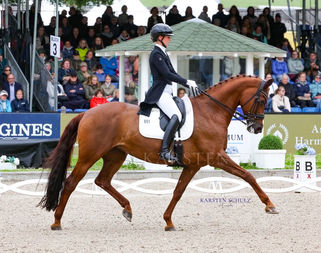 1B3A7517 | Reitsport Reiten
