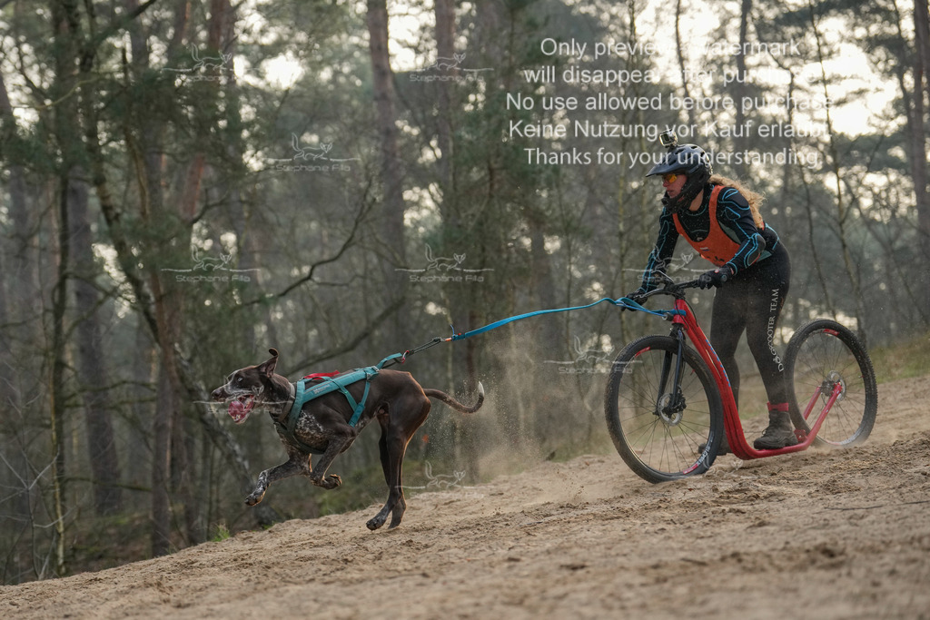 Scooter1-78 | stephaniefillaphotographie - Realisiert mit Pictrs.com