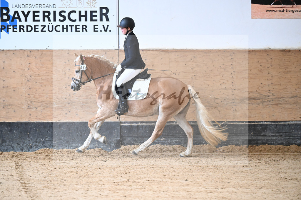 Kat-Nr. 11 Onatah v. Schampus_Demmler_50250087 | hf-fotografie - Realisiert mit Pictrs.com