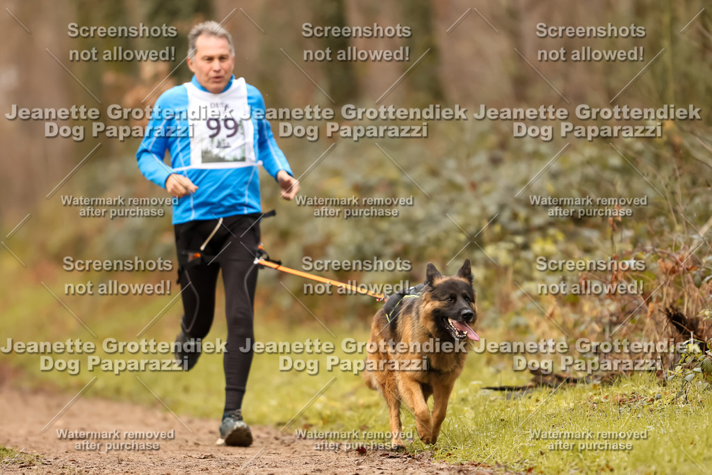 Dog Paparazzi - Speedhunter Mannheim  2025-278 | Dog Paparazzi Jeanette Grottendiek Fotografie & Videografie
