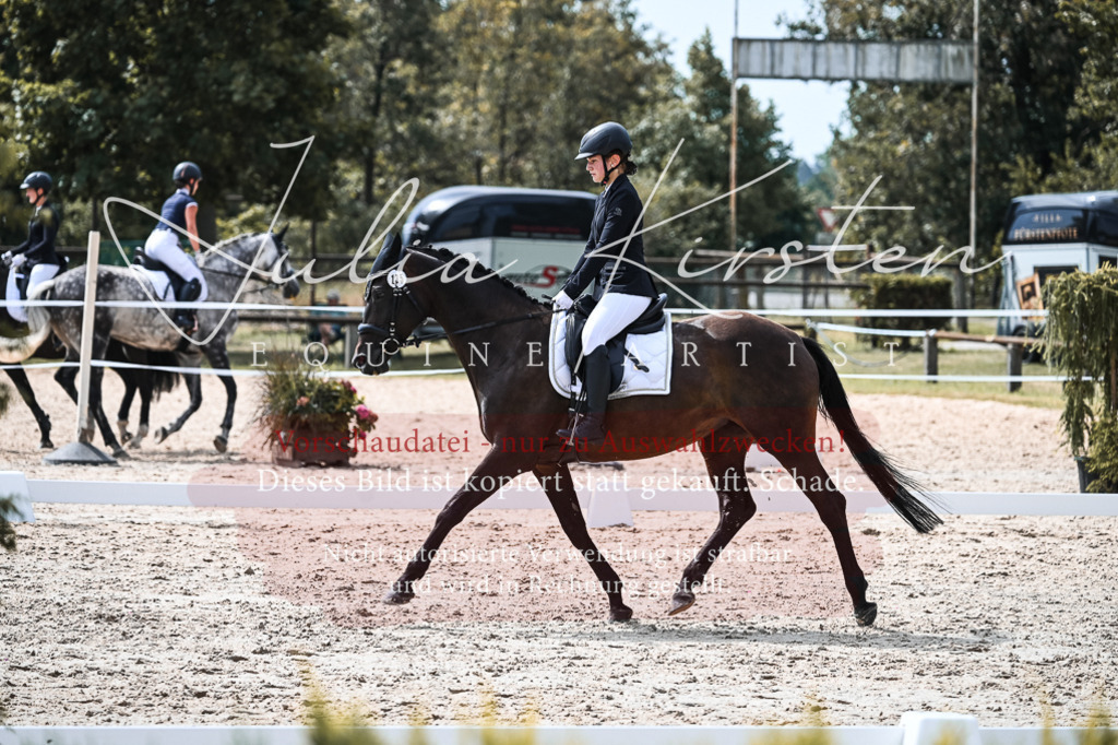 DSC_5240 | Pferde- und Turnierfotografie in Westsachsen. Pferdeportraits, Auftragszeichnungen und intuitive Kunst.