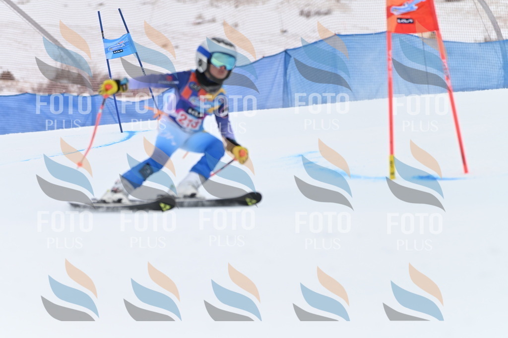 BGV_2612 | holidayphoto