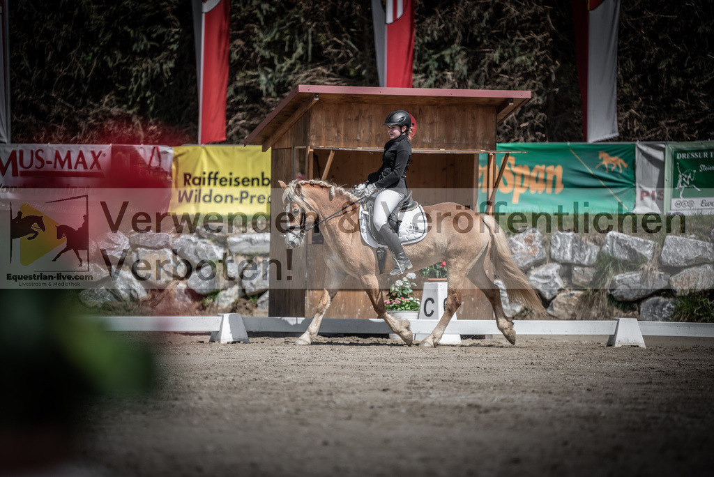 DSC_0690 | equestrian-live-com