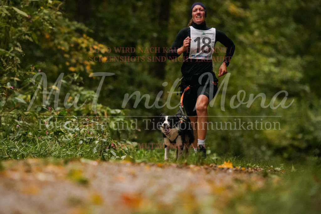 20251005_THS_Turnier-153 | MuT (Mensch und Tier) mit Mona - Fotografie und Tierkommunikation - Realisiert mit Pictrs.com