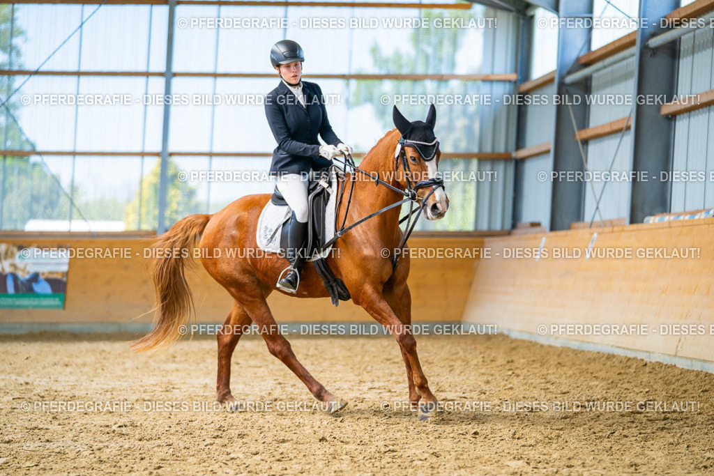 DSC08519 | Pferdegrafie