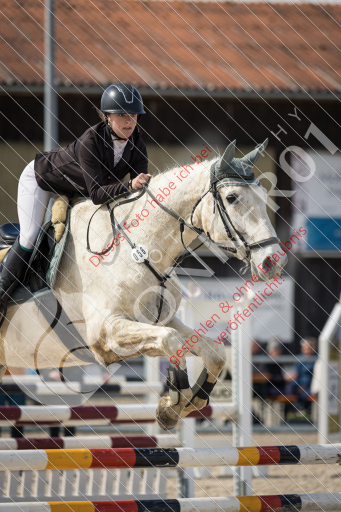 IMG_4181 | Sport-, Event- und Tierfotos in Profiqualität. Einfach auswählen, bestellen und herunterladen. Dein Moment – perfekt festgehalten.