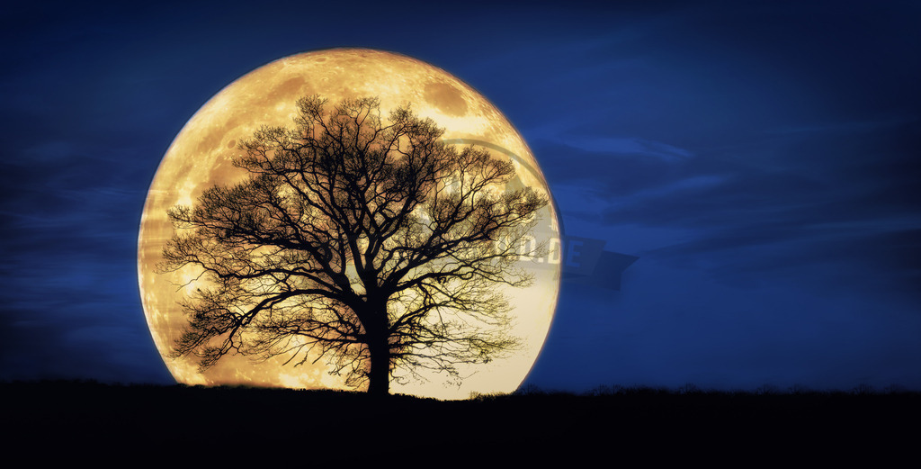 stativkunst-729 | Exklusive Hamburg collagen, tolle Segelbilder und viele weitere tolle Motive auf Leinwand, Poster, Alu-Dibond, u.v.m. findet Ihr bei uns auf hamburgbild.de. Findet Euer Wandbild für Euer Zuhause, Büro oder die  Praxis…. - Realisiert mit Pictrs.com