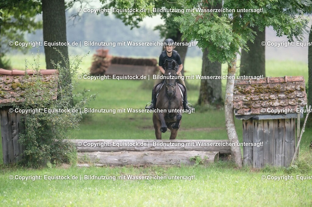20250726_Vielseitigkeitslehrgang-Marbach_0378 | Foto: Thomas Hartig