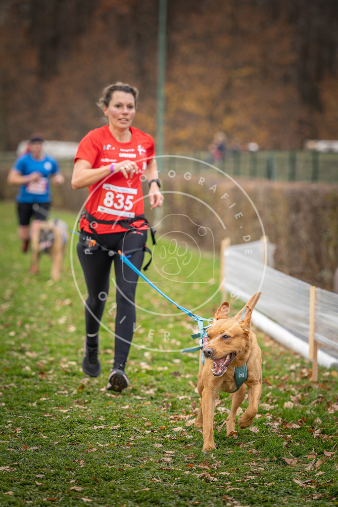 CaniXpix_DV3A6523 | Hundefotografie, Tierfotograf, Pfotenfotografie, Fotoshooting Hund, Hunde Portrait, Hundesport, Hundeportraits, Heideshooting, Hunde, Sportfotograf, Hundefotograf, Turnierhundsport, THS,  - Realisiert mit Pictrs.com