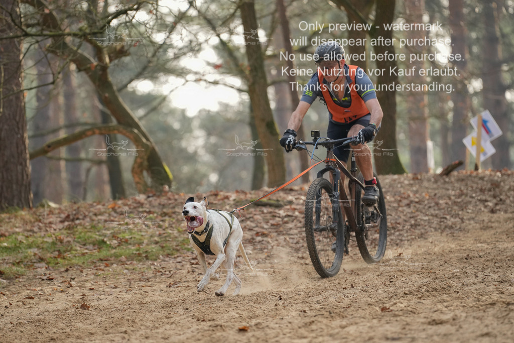 Bike1-313 | stephaniefillaphotographie - Realisiert mit Pictrs.com