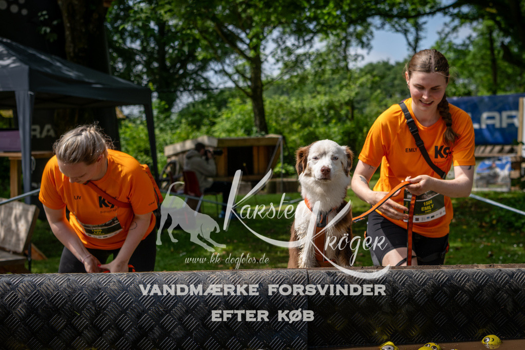 1132_ZZ94532 | kk-dogfotos
