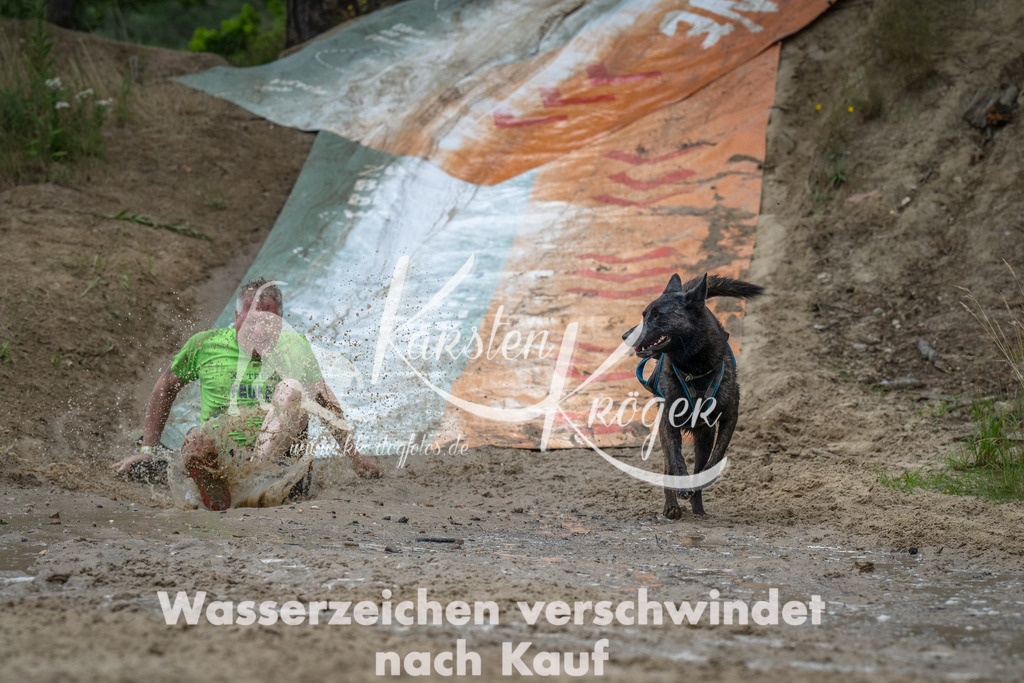 1645_ZZ92884-Bearbeitet | kk-dogfotos