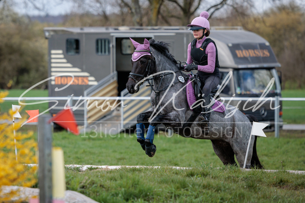 20260329-_3LI4807 | Tierfotografie Pferde, Hunde, Katzen, Haustiere.
Turnierfotografie Reitturniere, Reiten, Springreiten, Dressur in Hanau, dem Main-Kinzig-Kreis und dem Rhein-Main- Gebiet um Frankfurt