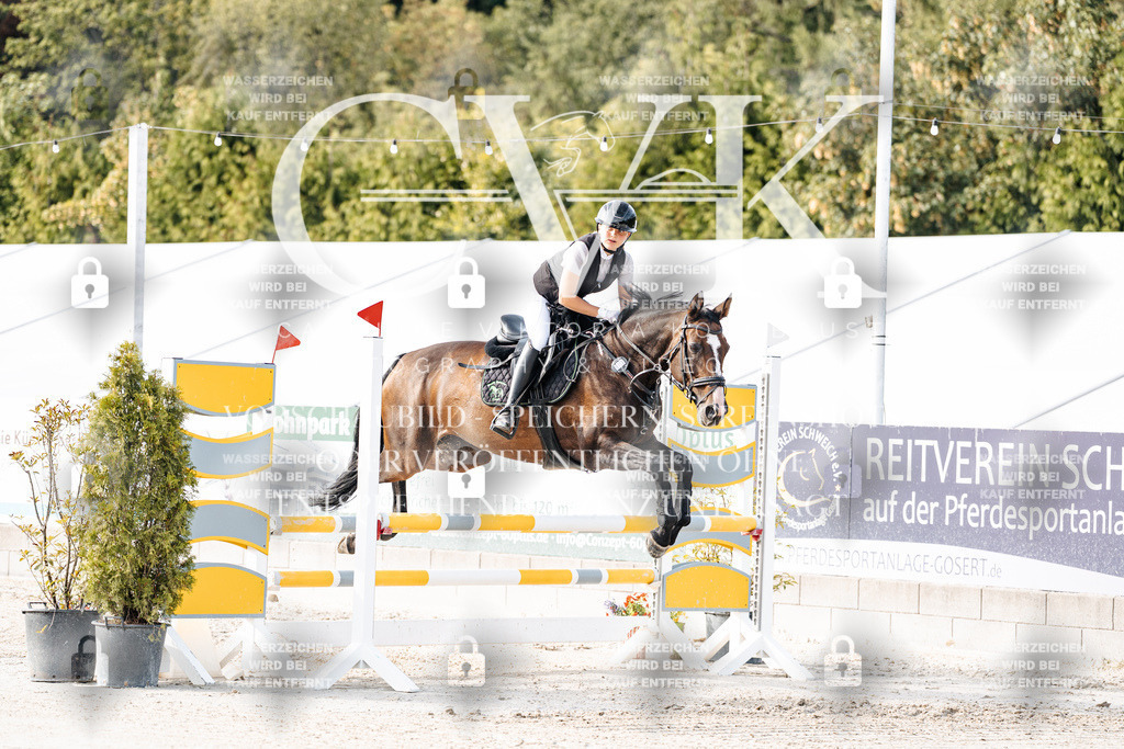 CK906131 | Turnierfotografie Pferdefotografie Trier Rheinland-Pfalz Pferdesport Reitsport Tierfotografie Sportfotografie Pferdevideo Pferdevideografie Equestrianvideography equestrianphotography  - Realisiert mit Pictrs.com