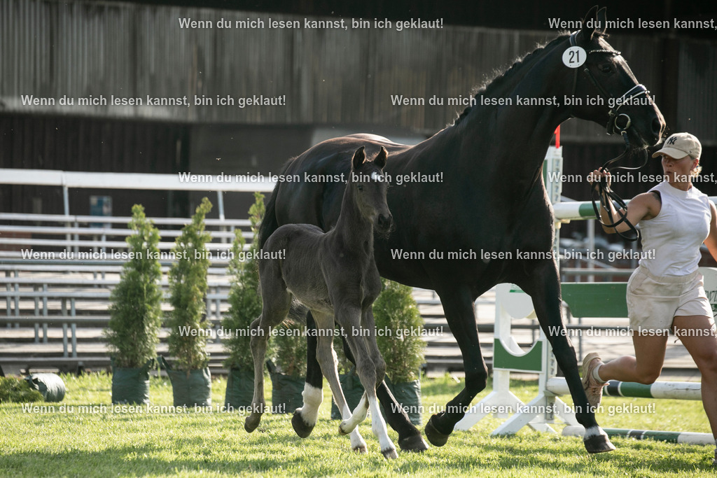 598A7441 | photographylinaismer - Realisiert mit Pictrs.com