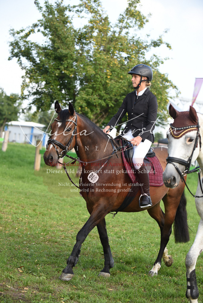 DSC_8574 | Pferde- und Turnierfotografie in Westsachsen. Pferdeportraits, Auftragszeichnungen und intuitive Kunst.