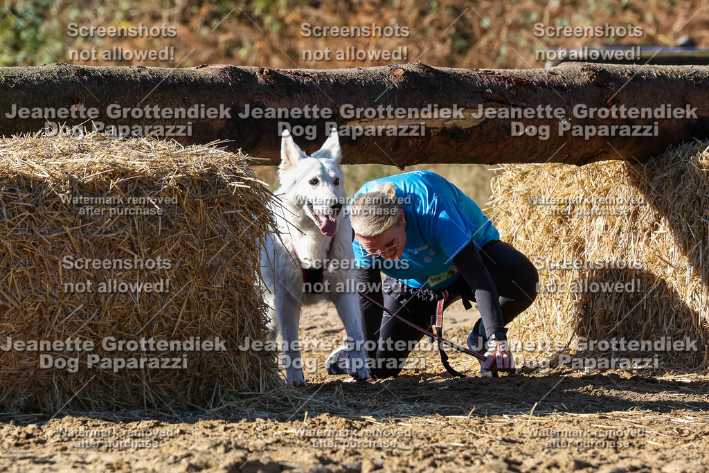 Dog Paparazzi - Strongdog 10-25-2588 | Dog Paparazzi Jeanette Grottendiek Fotografie & Videografie - Realisiert mit Pictrs.com