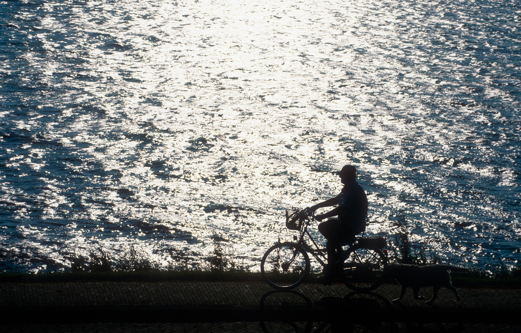 Radfahrer am Meeresufer | Urk, Niederlande - 2009: Radfahrer am Meeresufer. - Realisiert mit Pictrs.com