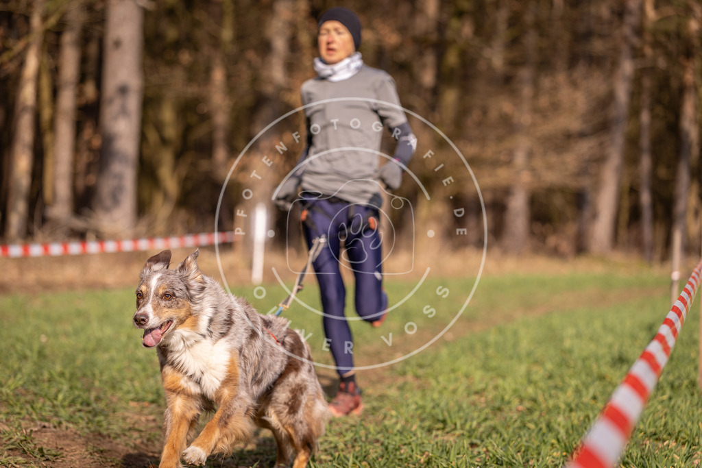 DV3A6446 | Hundefotografie, Tierfotograf, Pfotenfotografie, Fotoshooting Hund, Hunde Portrait, Hundesport, Hundeportraits, Heideshooting, Hunde, Sportfotograf, Hundefotograf, Turnierhundsport, THS,  - Realisiert mit Pictrs.com