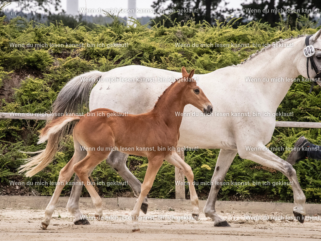 A10I9443 | photographylinaismer - Realisiert mit Pictrs.com