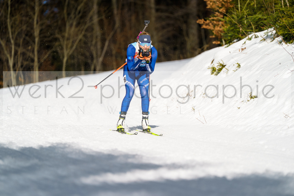 FESA Alpencup / DP Notschrei | Deutschland Pokal Finale im Schwarzwald NORDIC-CENTER Notschrei am 7. - 8. Februar 2026