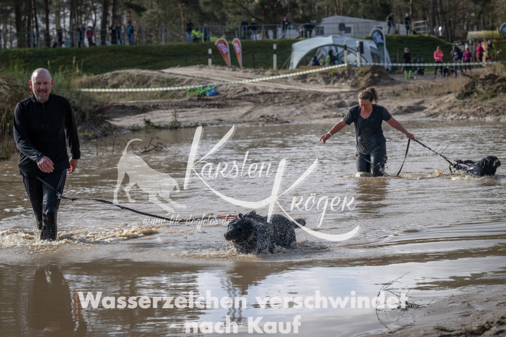 0931_ZZ92271 | kk-dogfotos