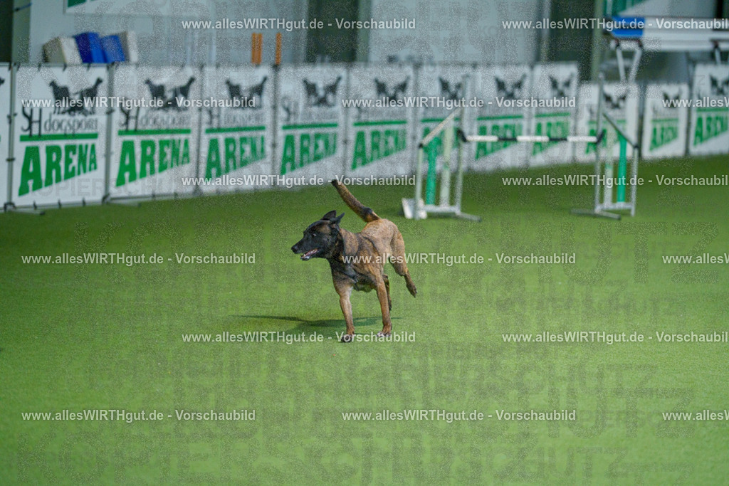 @allesWIRTHgut_Tierfotografie - www.allesWIRTHgut.de - 2604250826-7R506599 | Professionelle Tierfotografie in Mönchengladbach von Daniel Wirth (allesWIRTHgut). Liebevolle & natürliche Bilder von Hunden & Katzen für unvergessliche Erinnerungen.