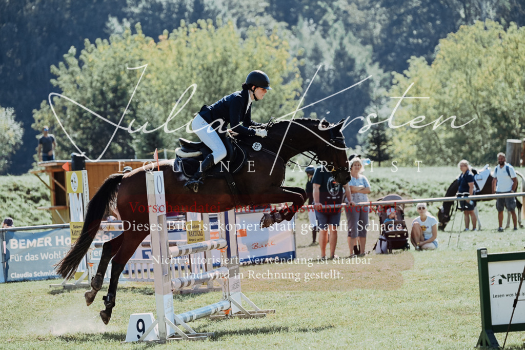 DSC_5884 | Pferde- und Turnierfotografie in Westsachsen. Pferdeportraits, Auftragszeichnungen und intuitive Kunst.