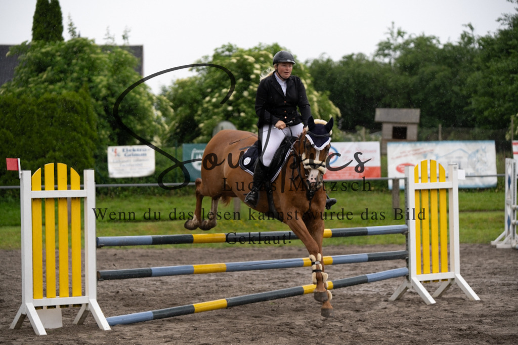 A7V04008 | Pferdefotograf