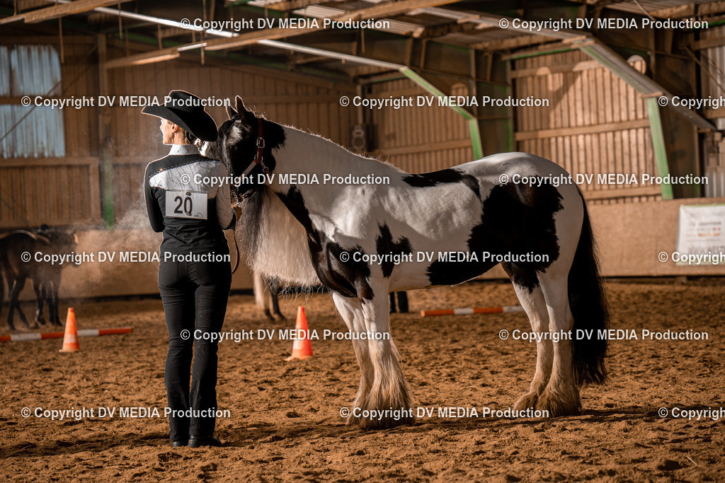 BAL01288 | dv-media-shop - Realisiert mit Pictrs.com