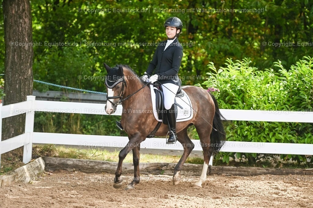 20230716_10-1_Reiter-WB Schritt - Trab - Galopp_0176 | equistock