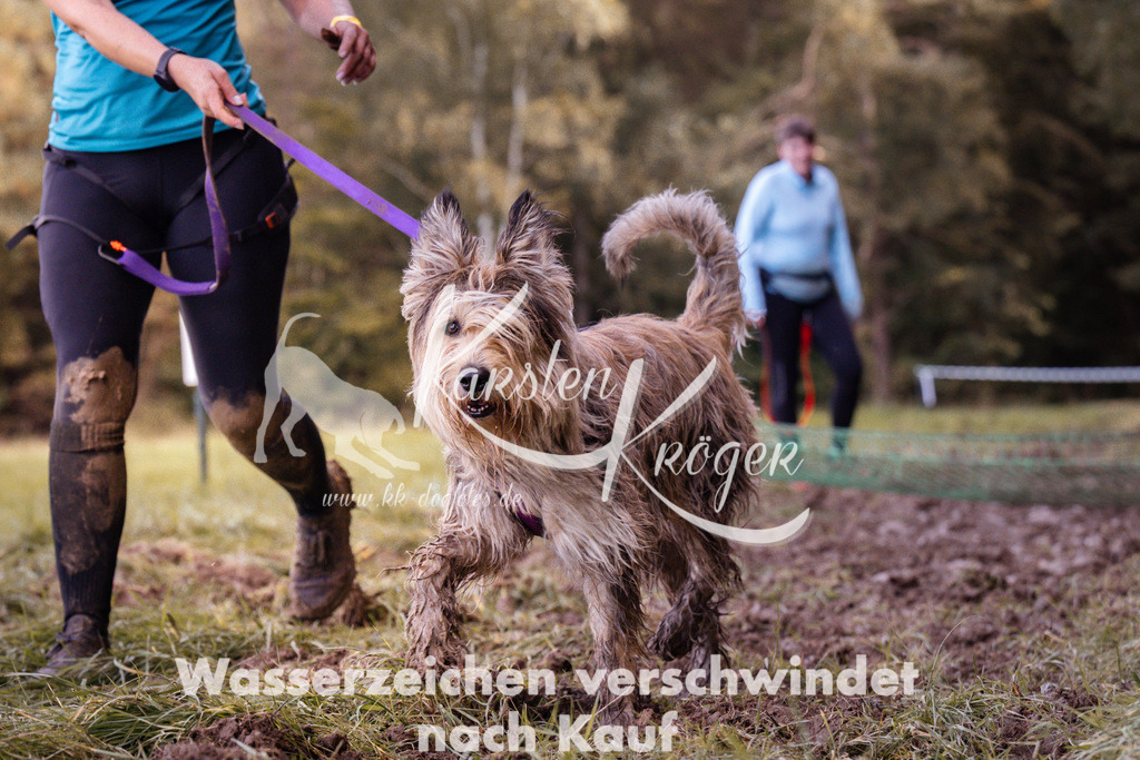 1223_ZZ94345 | kk-dogfotos