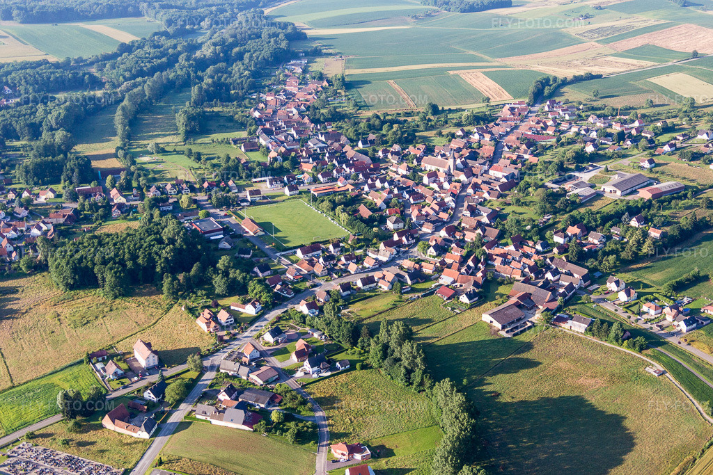 Aerial view: Agricultural fields and arable land in Riedseltz in the state Bas-Rhin, France. – Photo: IMG_089956.jpg taken on 06/26/2016 by Werner Riehm/FLY-FOTO.com – Resolution of the original: 5472 x 3648 px