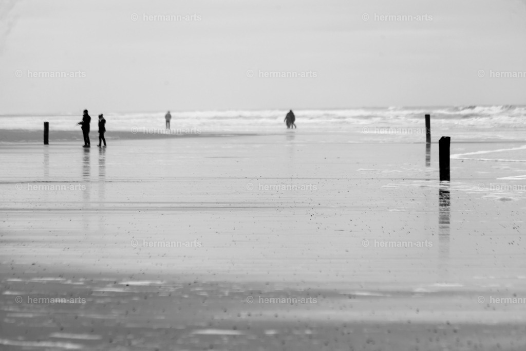 Hermann-Arts_Seaside_157 | Photo Foto Kunst Art schwarzweiss Bilder Rheine Münster Berlin Blumen 
