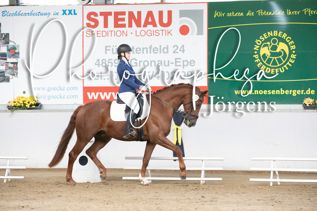 IMG_5952 | photographesa-joergens - Realisiert mit Pictrs.com