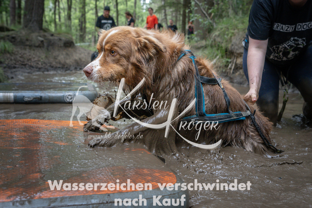 1259_ZZ91906 | kk-dogfotos