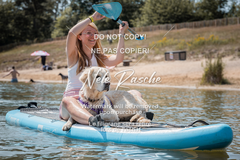 nelerasche_saSUP2_46 | nelerasche
