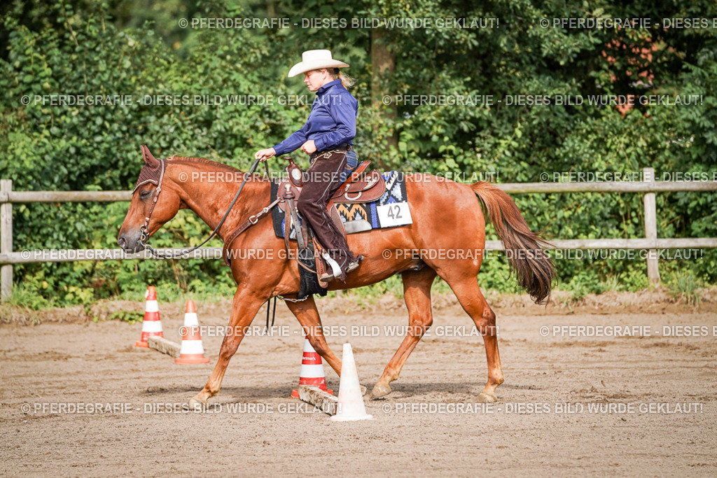 DSC00281 | Pferdegrafie