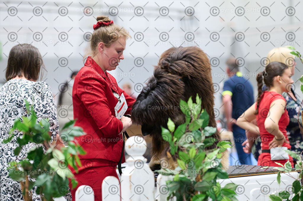 202406_ÖKV-IHA-Tulln24_DSC_3206 | proPHOTO - Realisiert mit Pictrs.com