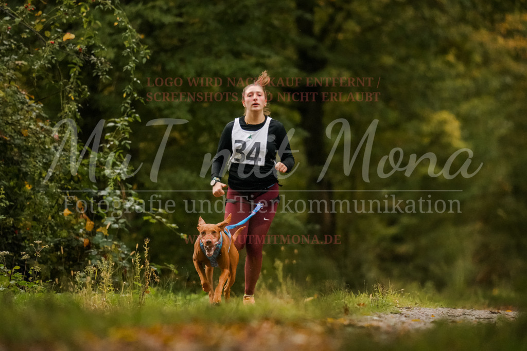 20251005_THS_Turnier-36 | MuT (Mensch und Tier) mit Mona - Fotografie und Tierkommunikation - Realisiert mit Pictrs.com
