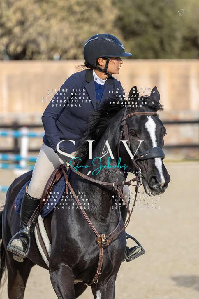 IMG_0462 | s-jay-photography - Realisiert mit Pictrs.com