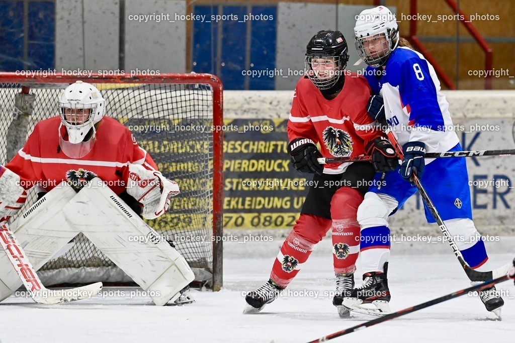 BST_3723 | hockey sports photos, Pressefotos, Sportfotos, hockey247, win 2day icehockeyleague, Handball Austria, Floorball Austria, ÖVV, Kärntner Eishockeyverband, KEHV, KFV, Kärntner Fussballverband, Österreichischer Volleyballverband, Alps Hockey League, ÖFB, 
