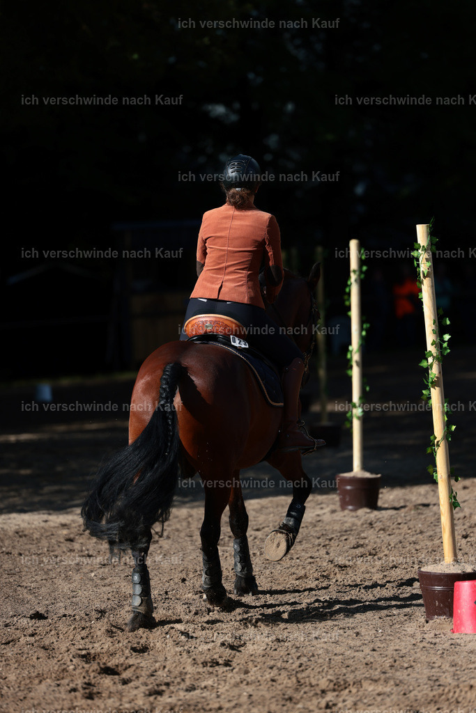 KlasseL_Stoibphotography_CAM24078.JPG | working equitationturnier fotograf videograf stoibphotography marixx film working equitation deutschland reitsport turnierfotografie eventfotografie equestrian events