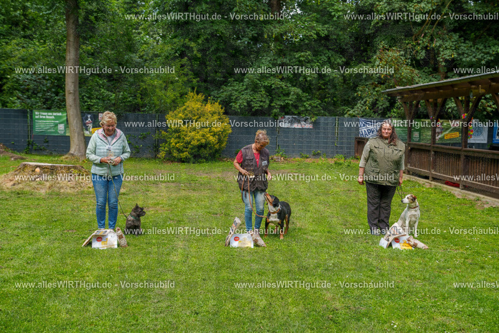 @allesWIRTHgut_Tierfotografie - www.allesWIRTHgut.de - 7R506044 | Professionelle Tierfotografie in Mönchengladbach von Daniel Wirth (allesWIRTHgut). Liebevolle & natürliche Bilder von Hunden & Katzen für unvergessliche Erinnerungen.