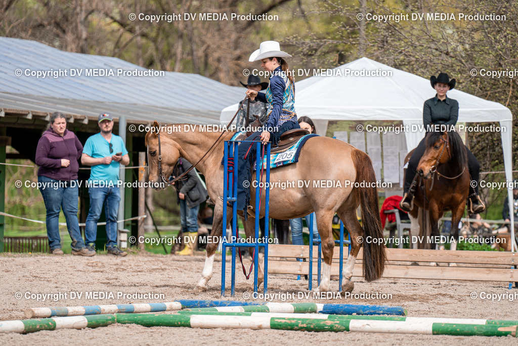 BAL02487 | dv-media-shop - Realisiert mit Pictrs.com