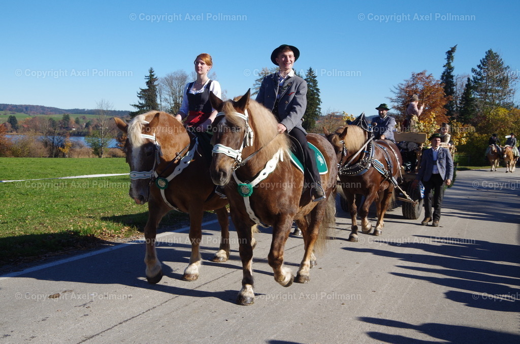 IMGP8014 | fotografiert von Axel PollmannLeonhardi Wallfahrt Benediktbeuern und Murnau, Fronleichnam, Fasching, Landschaft im Loisachtal und Benediktbeuern  - Realisiert mit Pictrs.com