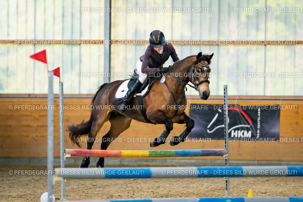 DSC00574 | Pferdegrafie