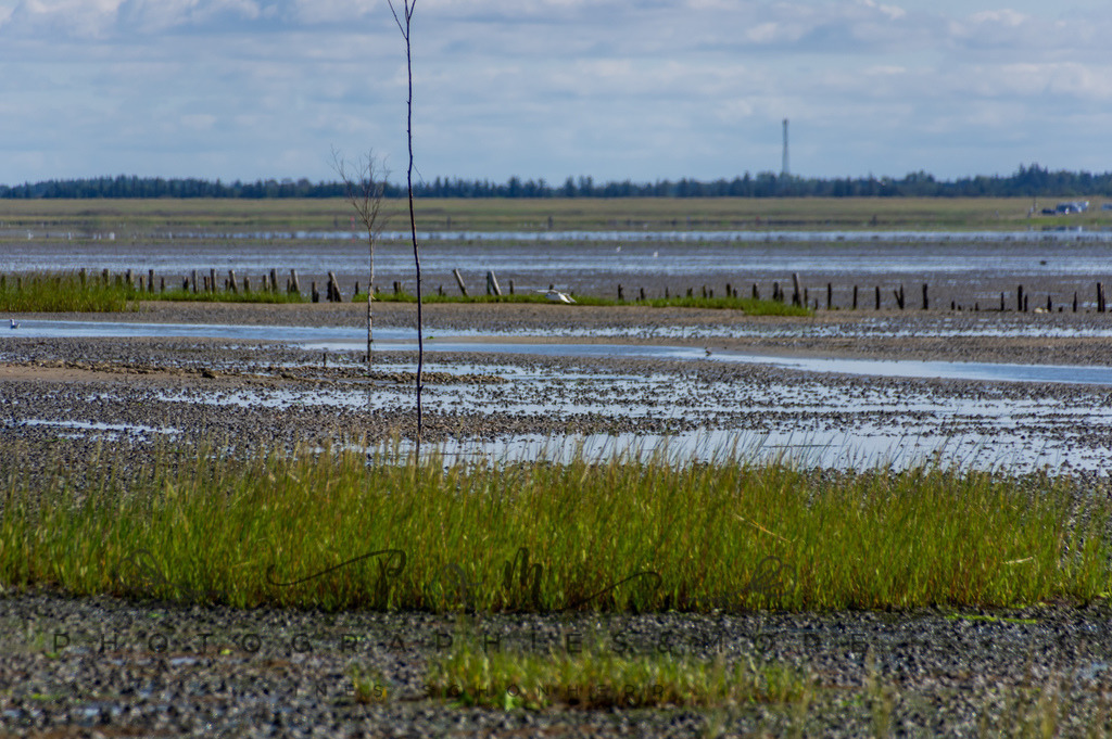 IMGP0397 | Nordseeinsel Mandö - Realisiert mit Pictrs.com